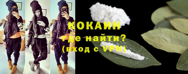 молекула духа Елизово
