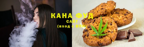 молекула духа Елизово
