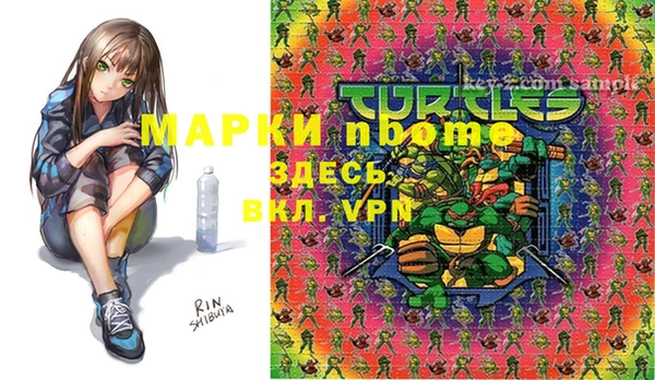молекула духа Елизово