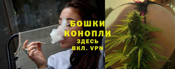 молекула духа Елизово